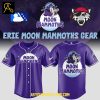 Milwaukee Brewers MLB Honor Native American Heritage 2025 Baseball Jersey