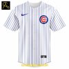 Chicago Cubs Ryne Sandberg 1959 2025 Ryno The Memories Baseball Jersey